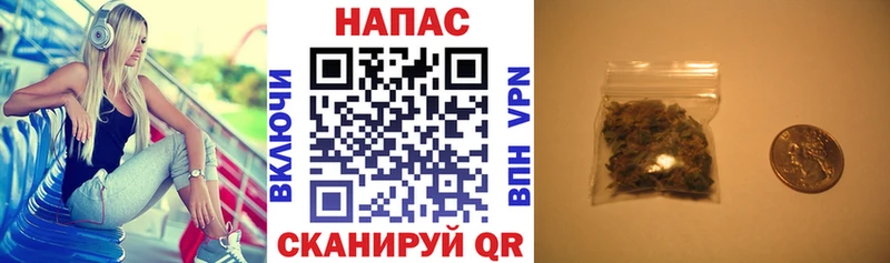 Шишки марихуана марихуана Горбатов
